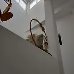 Casa Perla