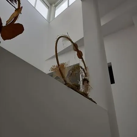 Casa Perla